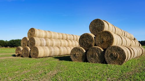 Free Round hay bales stacked in sunny farmland, capturing agriculture in Dassendorf, Germany. Stock Photo