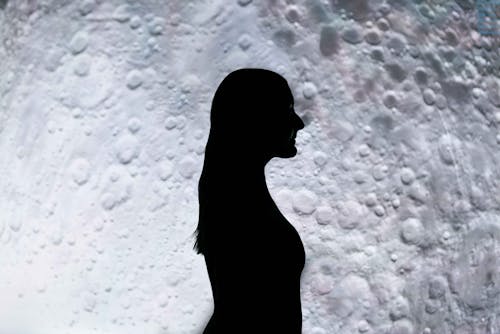 Free Silhouette Of Woman Standing  Stock Photo