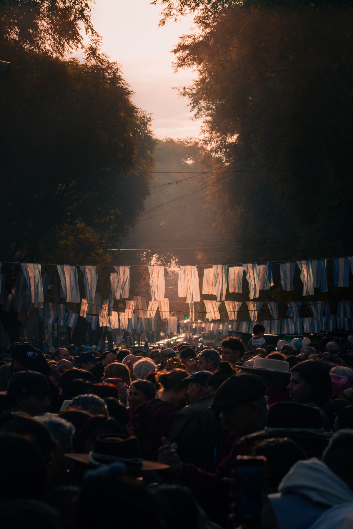Festival & event security