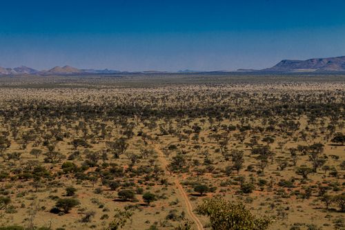 Free Aerial view of Namibia's expansive savannah with acacia trees and distant mountains. Stock Photo