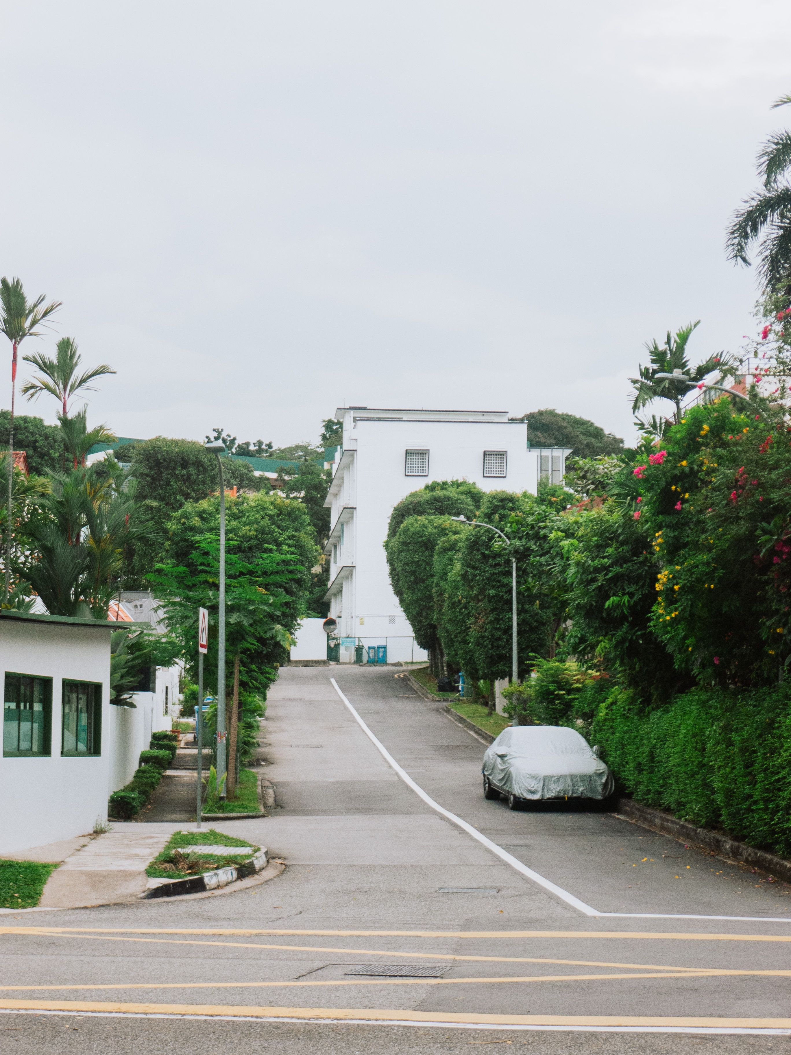 Serene empty street in Singapore residential area, lined with lush greenery and parked cars.