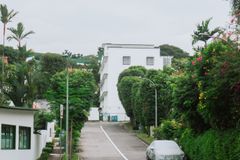 Serene empty street in Singapore residential area, lined with lush greenery and parked cars.