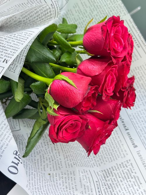 Free Elegant bouquet of vibrant red roses wrapped in newspaper, perfect for romantic settings. Stock Photo