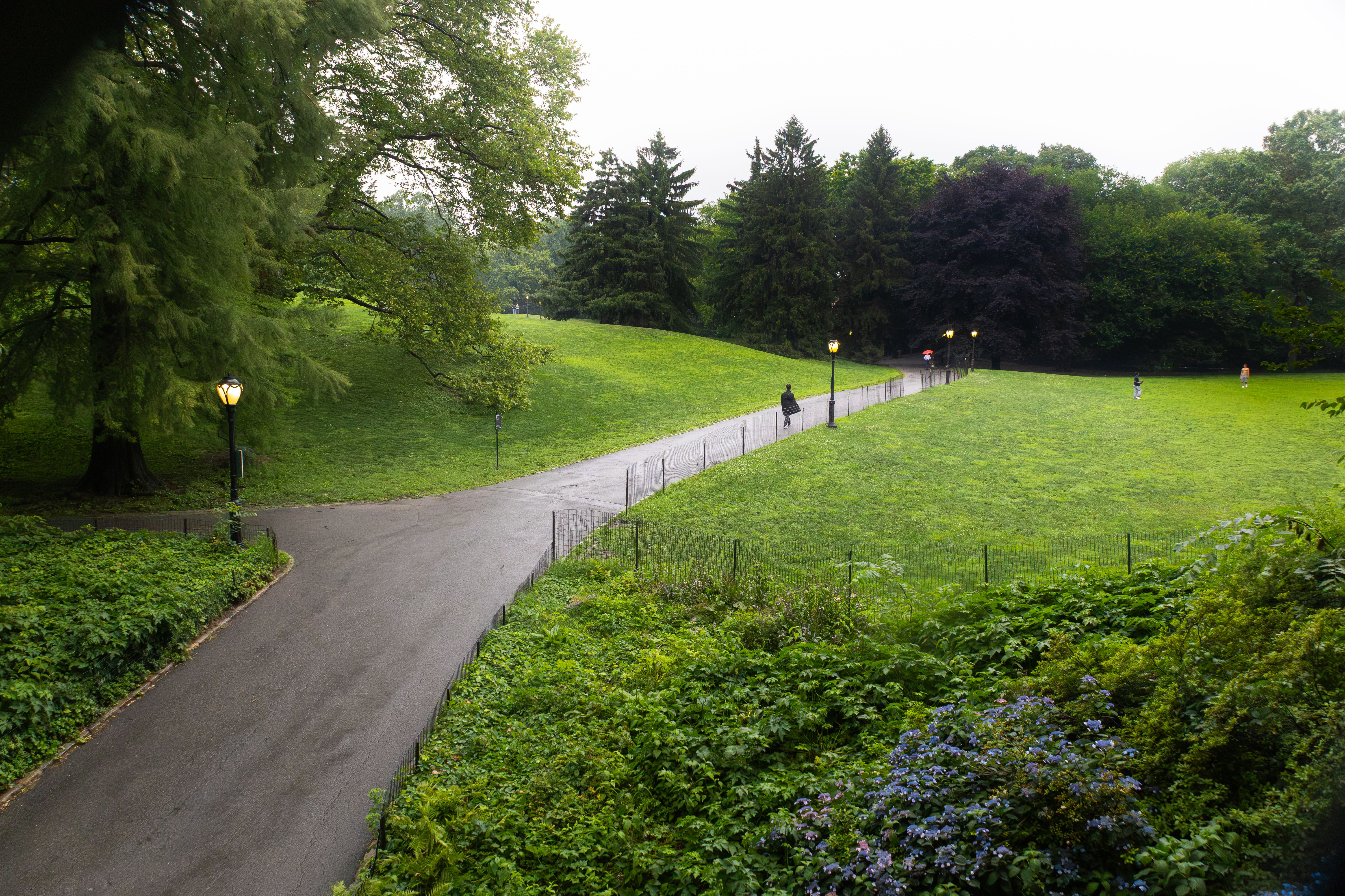 Peaceful morning view of a lush green park with winding pathways and scattered visitors.