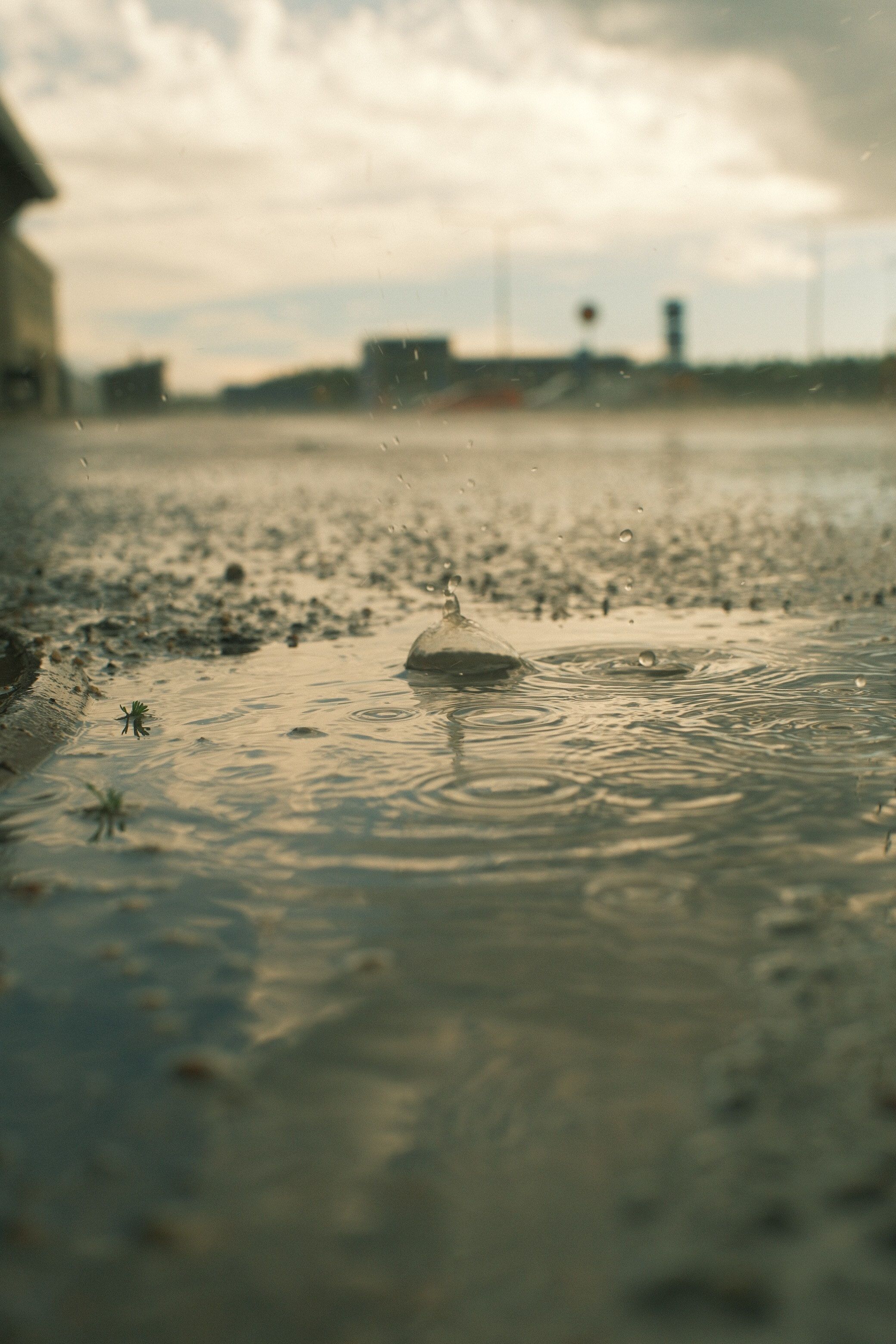 Widespread Rain and Cooling Temperatures Mark Start of School Week in Finland