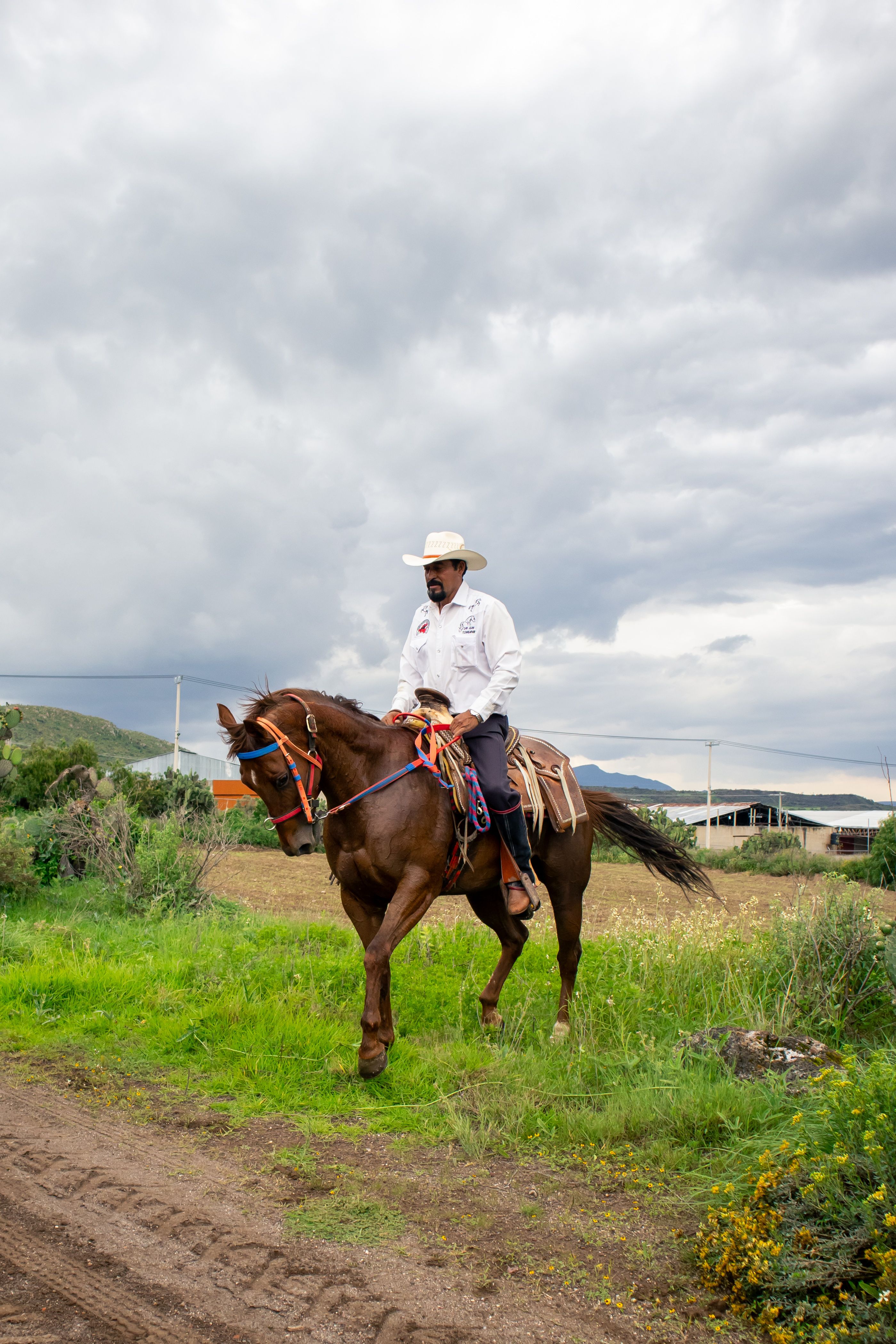 A cowboy on horse in a rural setting, under a cloudy sky. Traditional attire and serene surroundings.