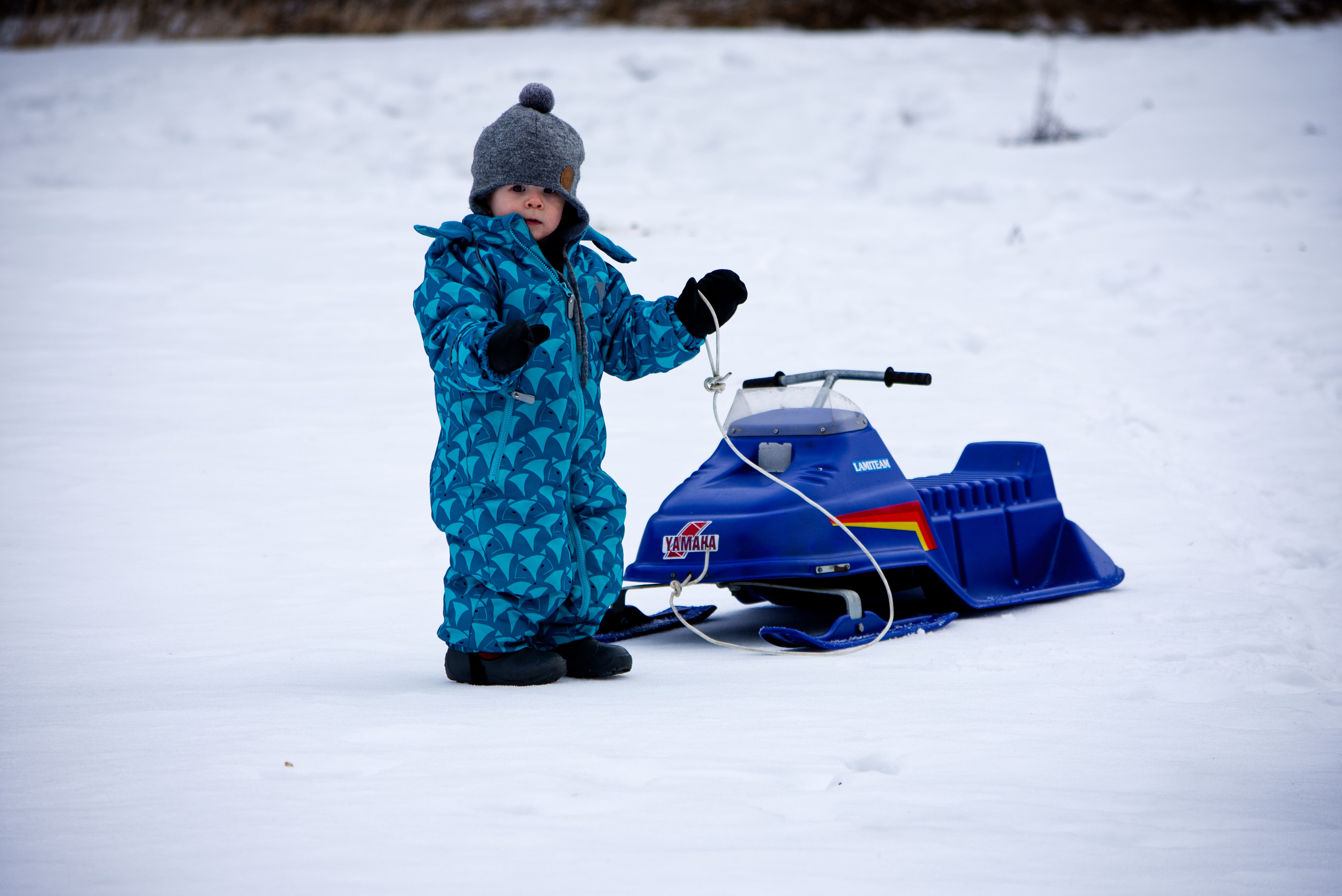Young child in winter attire playing with a blue toy snowmobile in the snow.