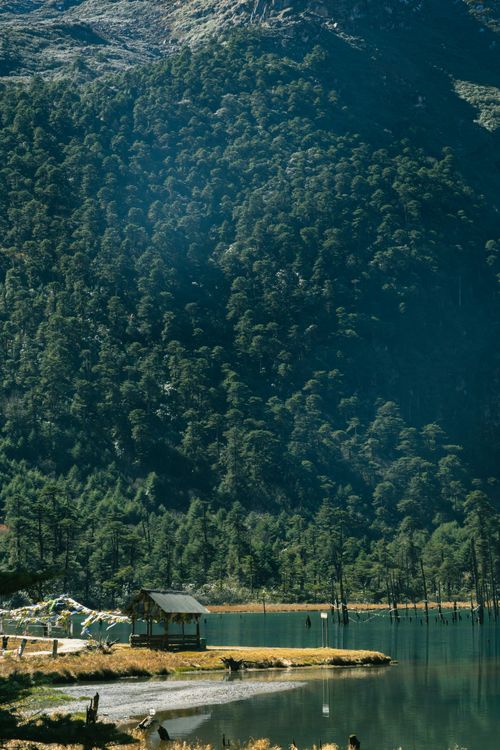 Free Serene view of a lake surrounded by lush forested hills in Tawang. Perfect for nature and travel enthusiasts. Stock Photo