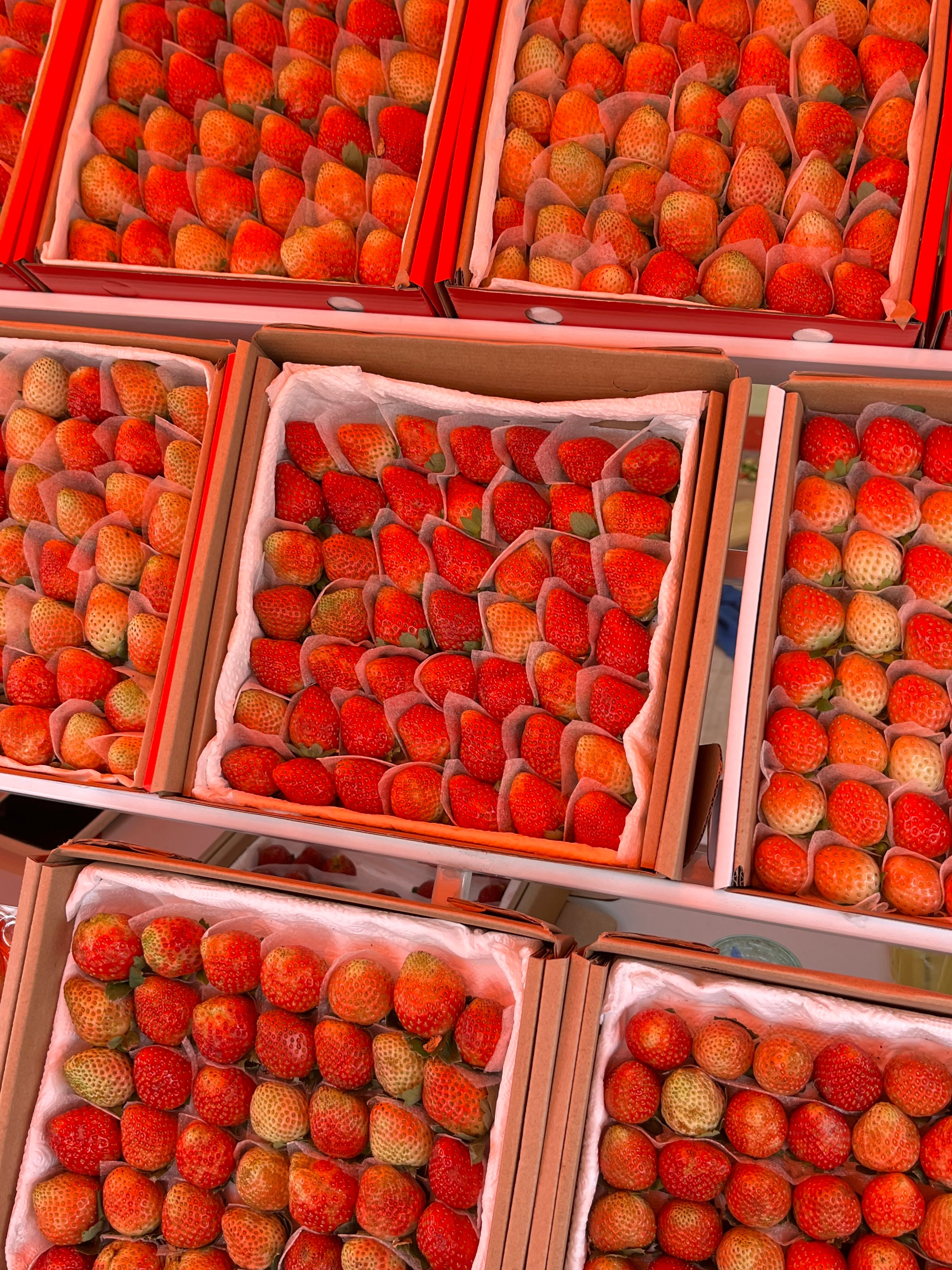 Bright and fresh strawberries neatly packed in boxes at a bustling market.