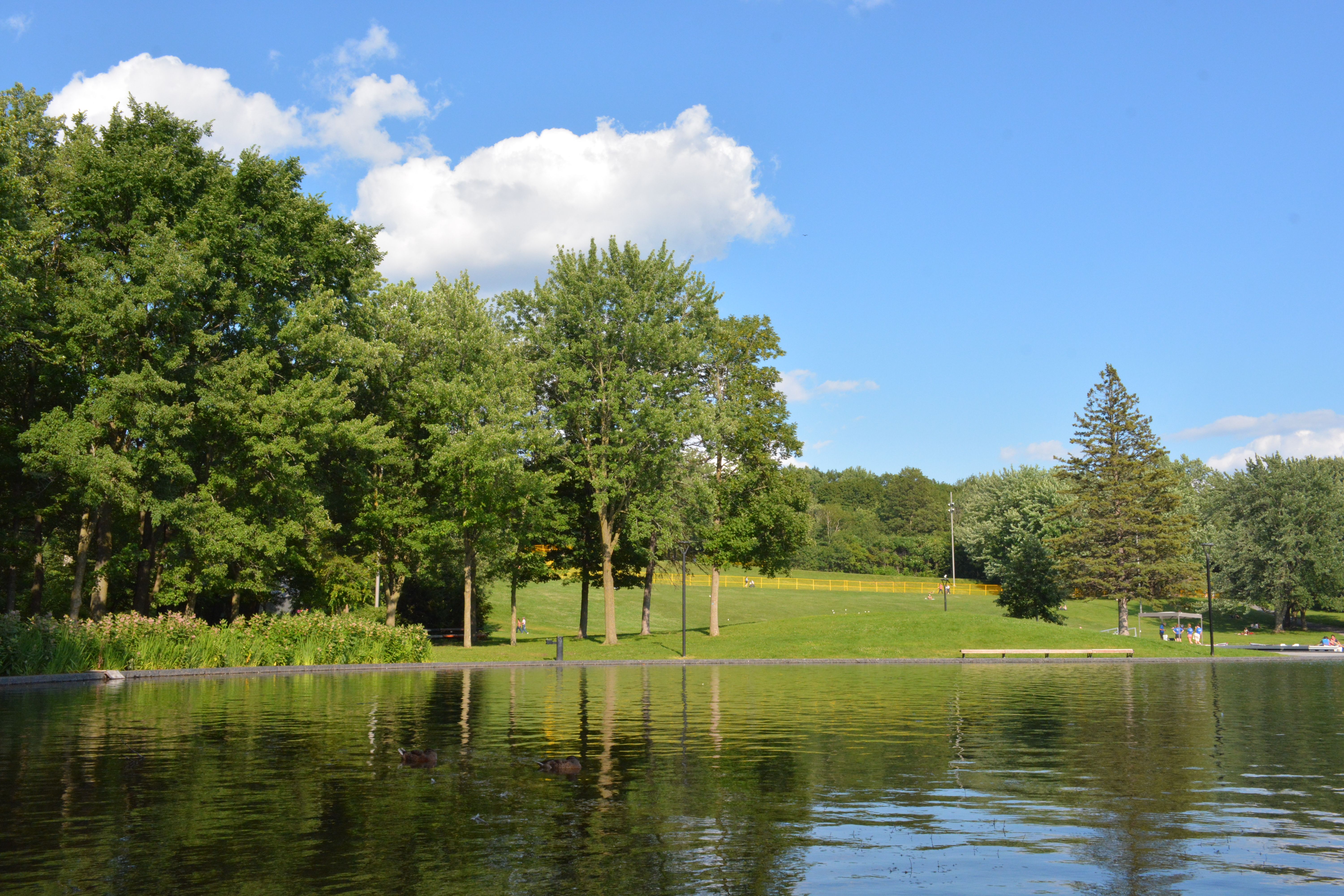 Lake Carnegie and riverfront recreation