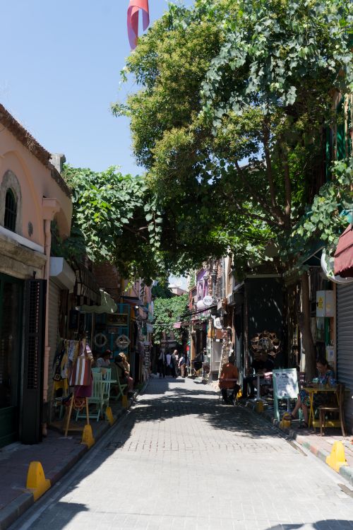 Free Explore a picturesque street lined with greenery and local shops in Istanbul's vibrant neighborhood. Stock Photo