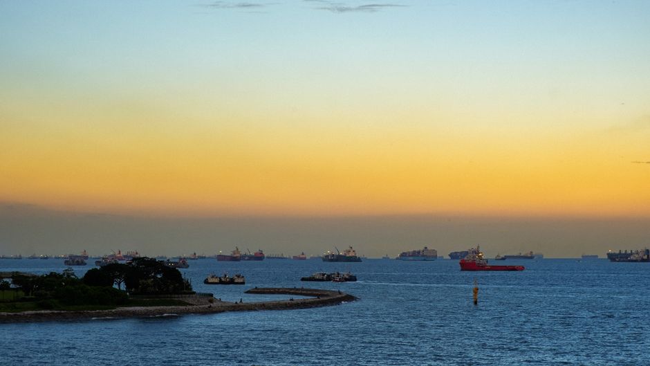 Export Permit Singapore Bali