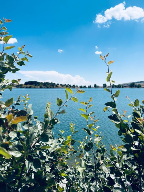 Free A tranquil scene of a lake surrounded by greenery and a clear blue sky in Niğde, Türkiye. Stock Photo