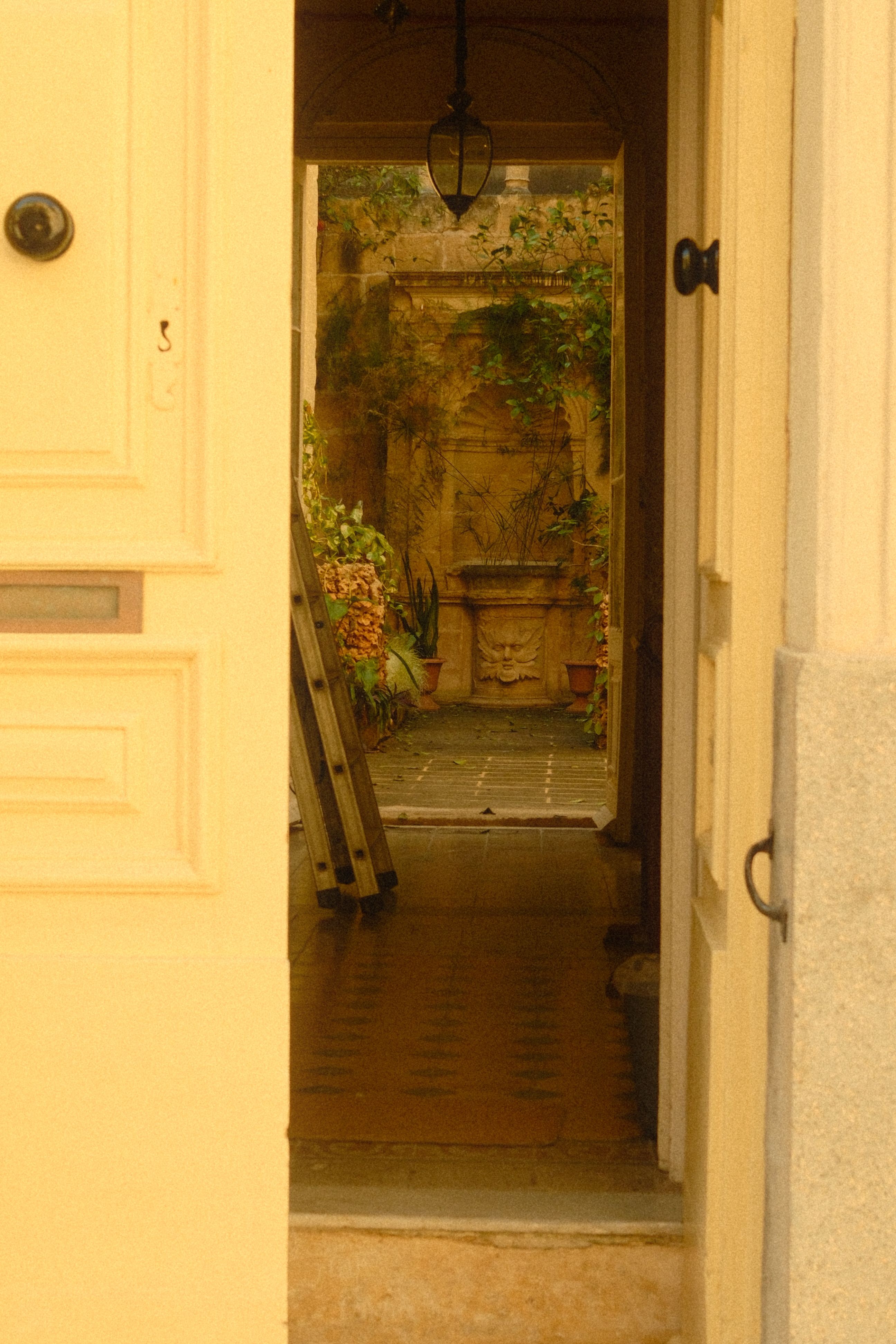 Print of a sunlit courtyard doorway, photo by Alyona Nagel on Pexels