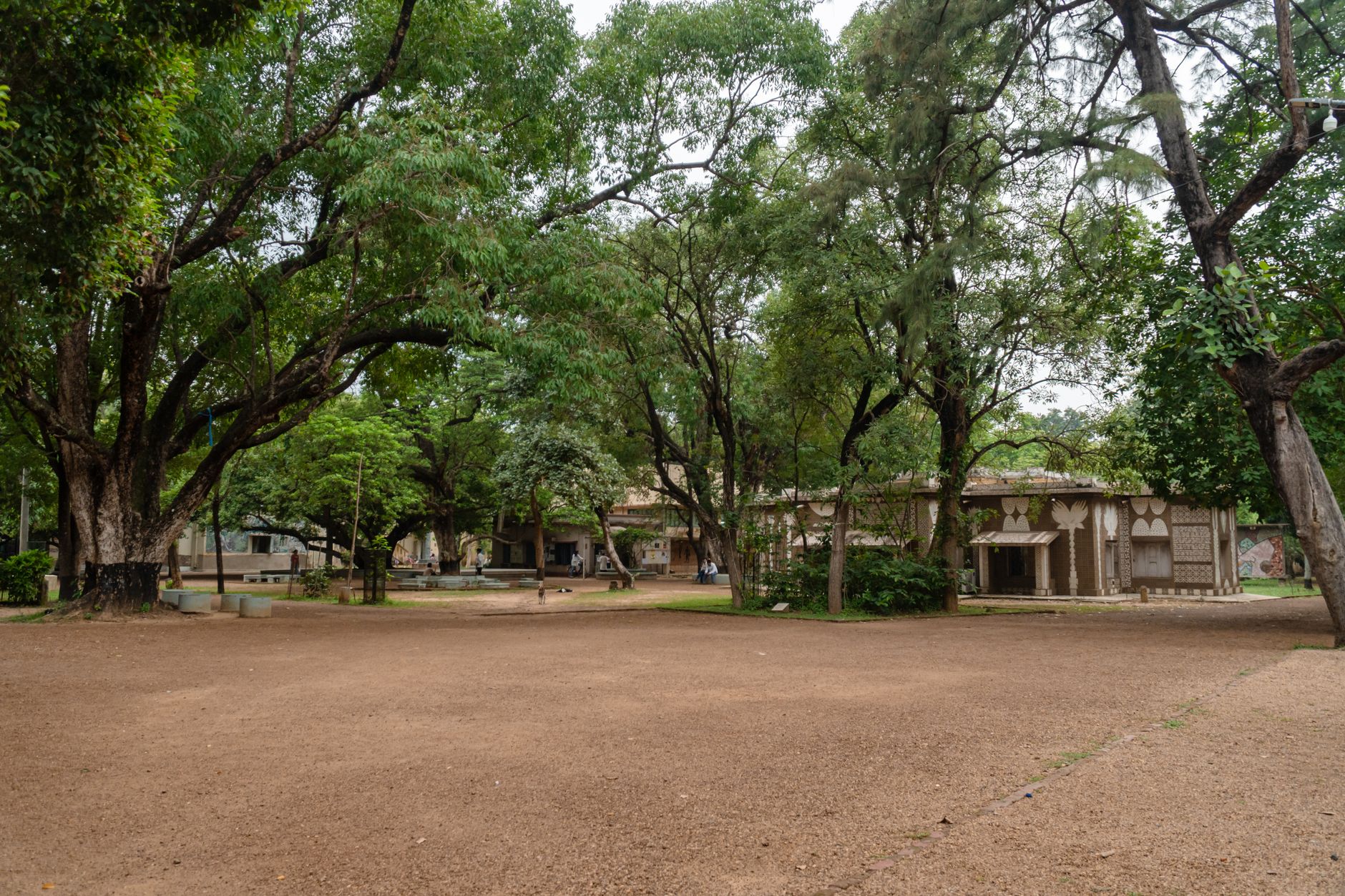Featured image for the article: Satya Niketan’s PG boom has outgrown its low-rise beginnings