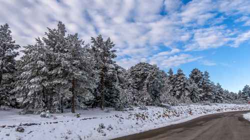 Free A serene winter landscape in Aragón, Spain, featuring a snowy forest and winding road under a blue sky. Stock Photo