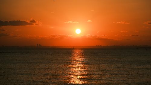 Free A vivid sunset casting warm hues on the calm ocean with a distant city skyline. Stock Photo