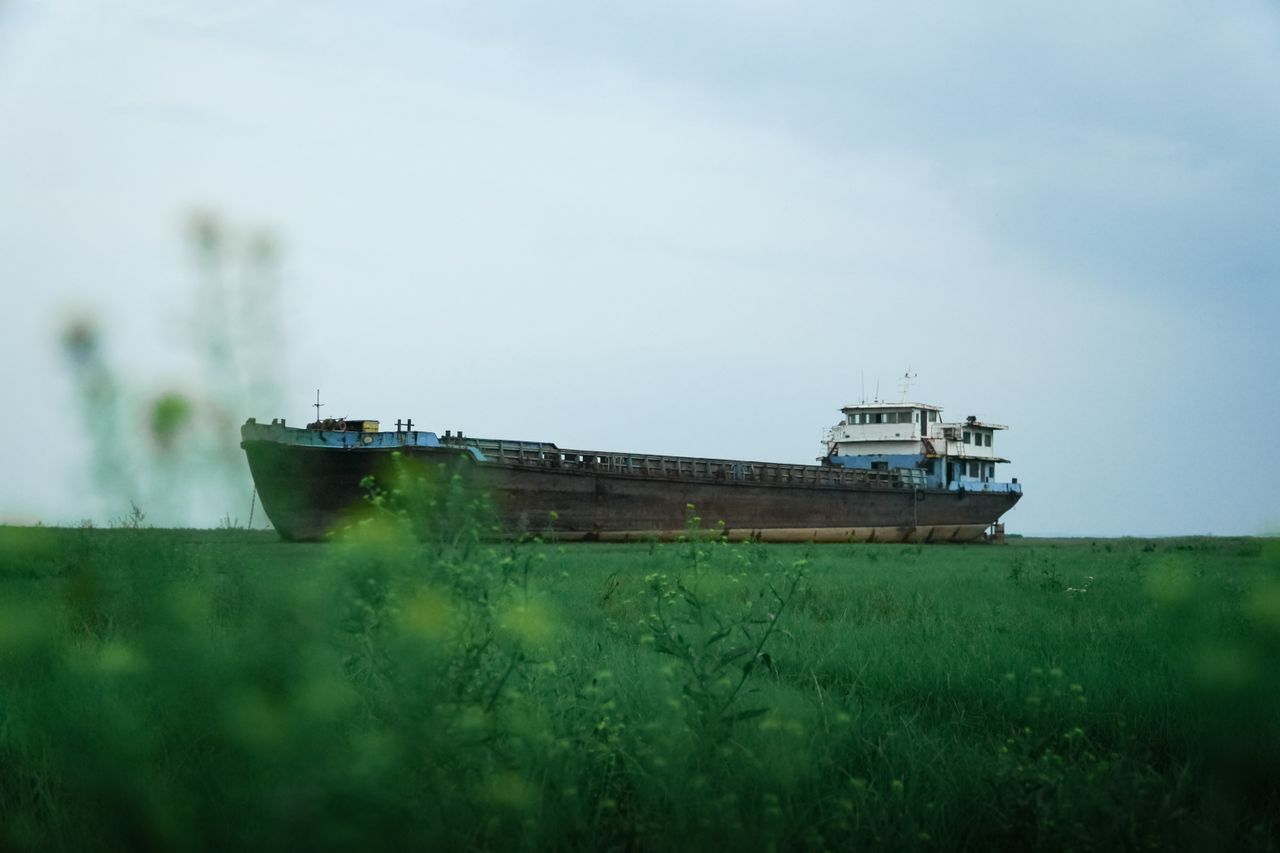El Nino and Global Conflicts Threaten Food Security