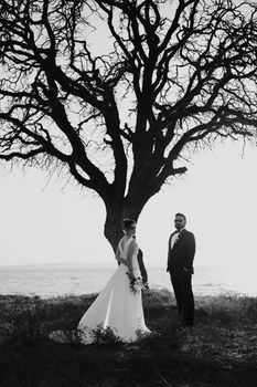 A bride and groom stand elegantly under a bare tree in Bozcaada, Türkiye.