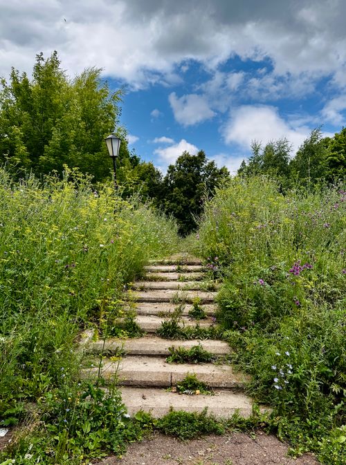 Free A scenic view of rustic stone steps surrounded by lush greenery under a vibrant summer sky. Stock Photo