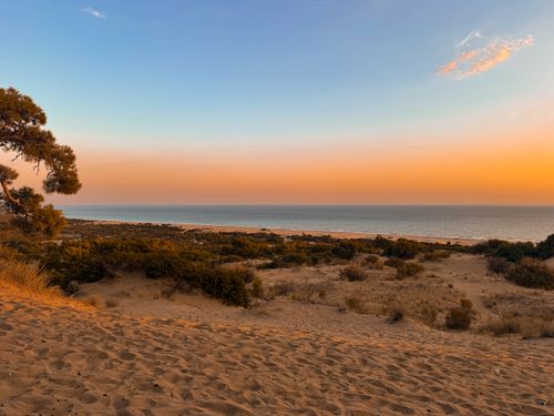 Free A tranquil beach scene with sand dunes and vibrant sunset hues over the ocean horizon. Stock Photo