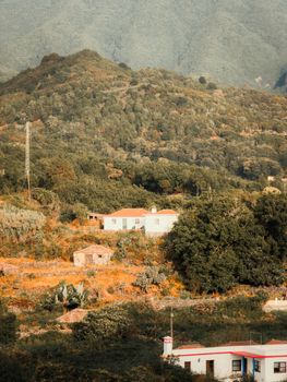 A serene scene of houses nestled in the lush, mountainous landscape of La Palma, Spain.