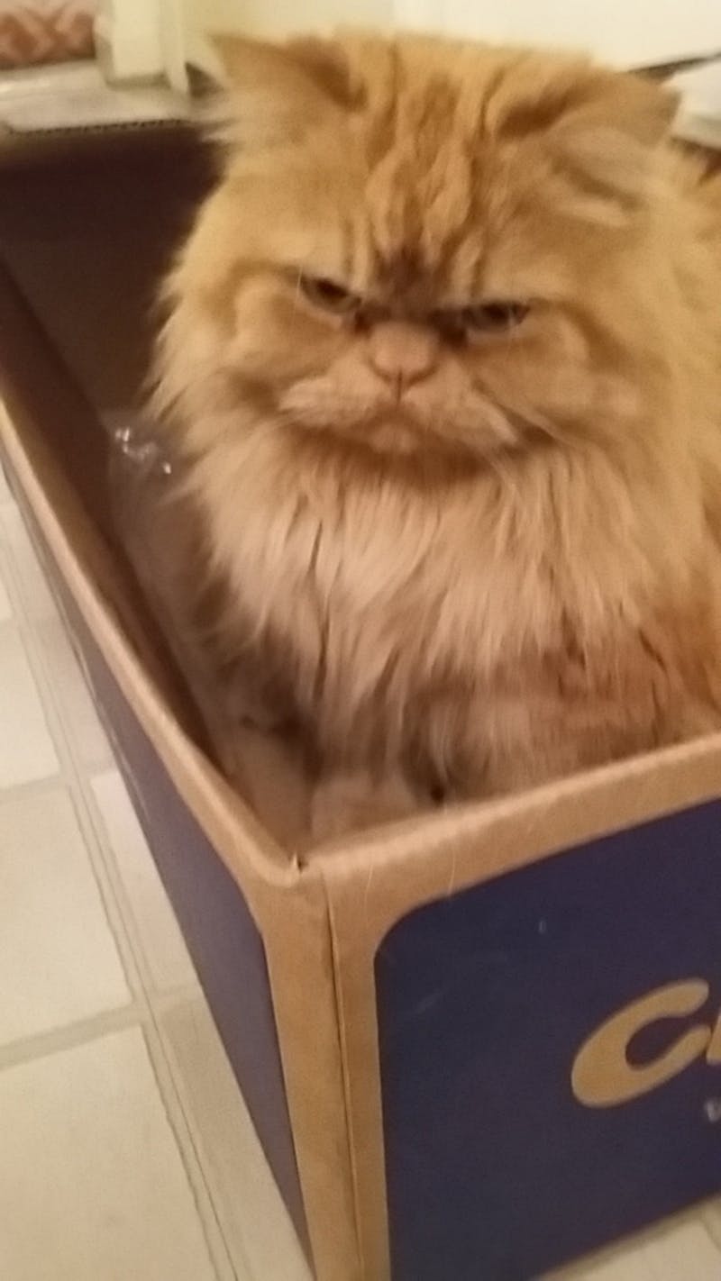 Контейнеры