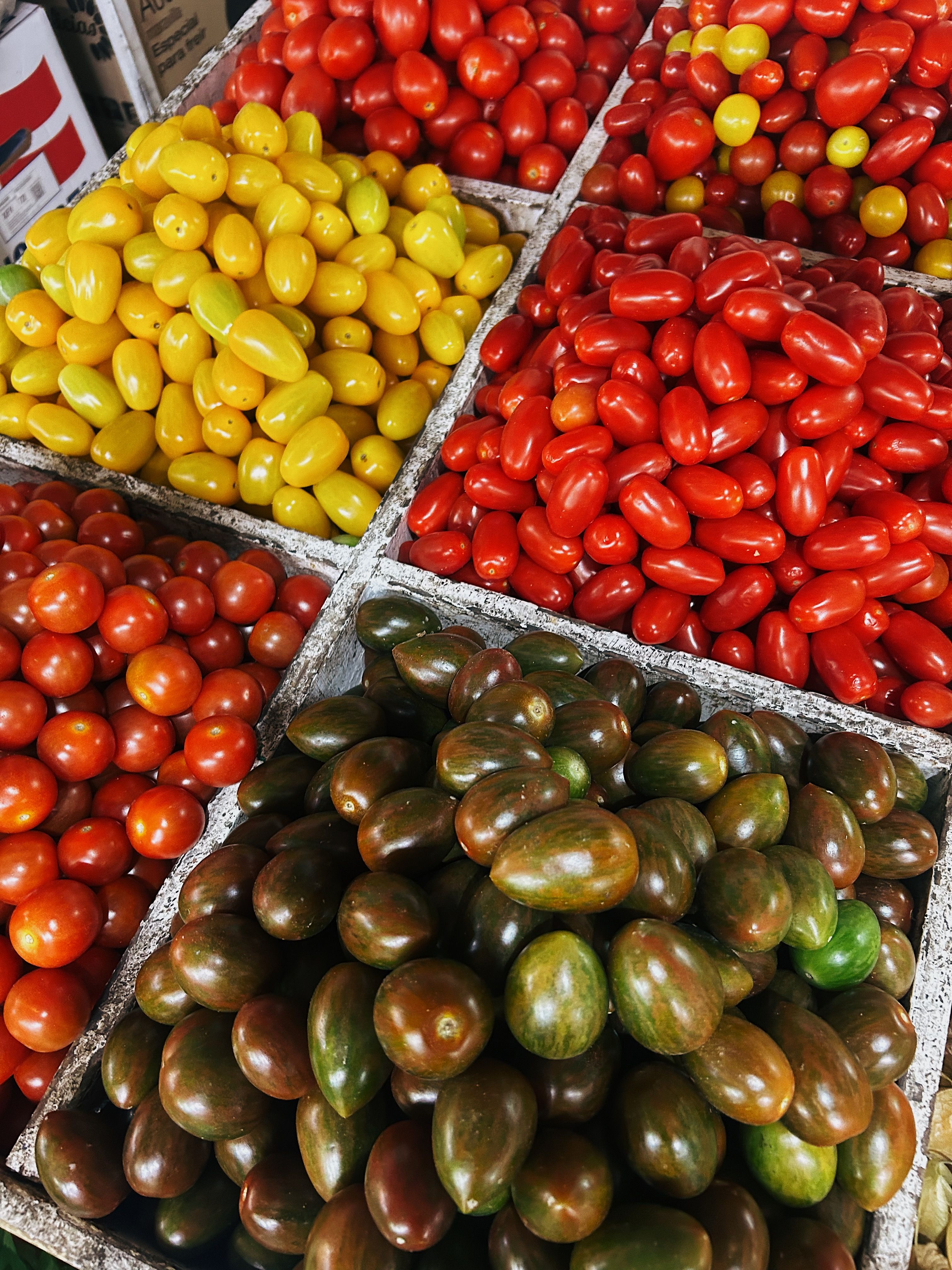Fotomural Tomates de variedades antiguas y coloridas expuestos en un mercado, que muestran variedad y frescura.