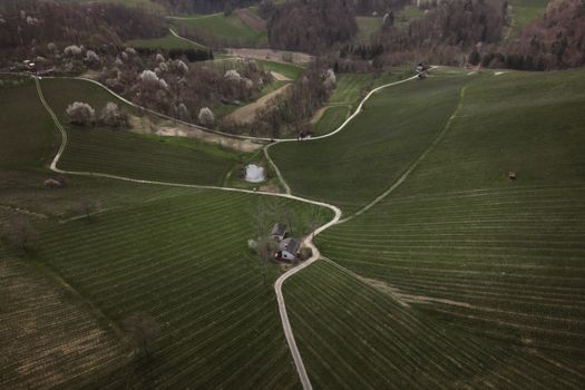 Aerial shot of winding roads and vineyards in spring, Steiermark, Austria.