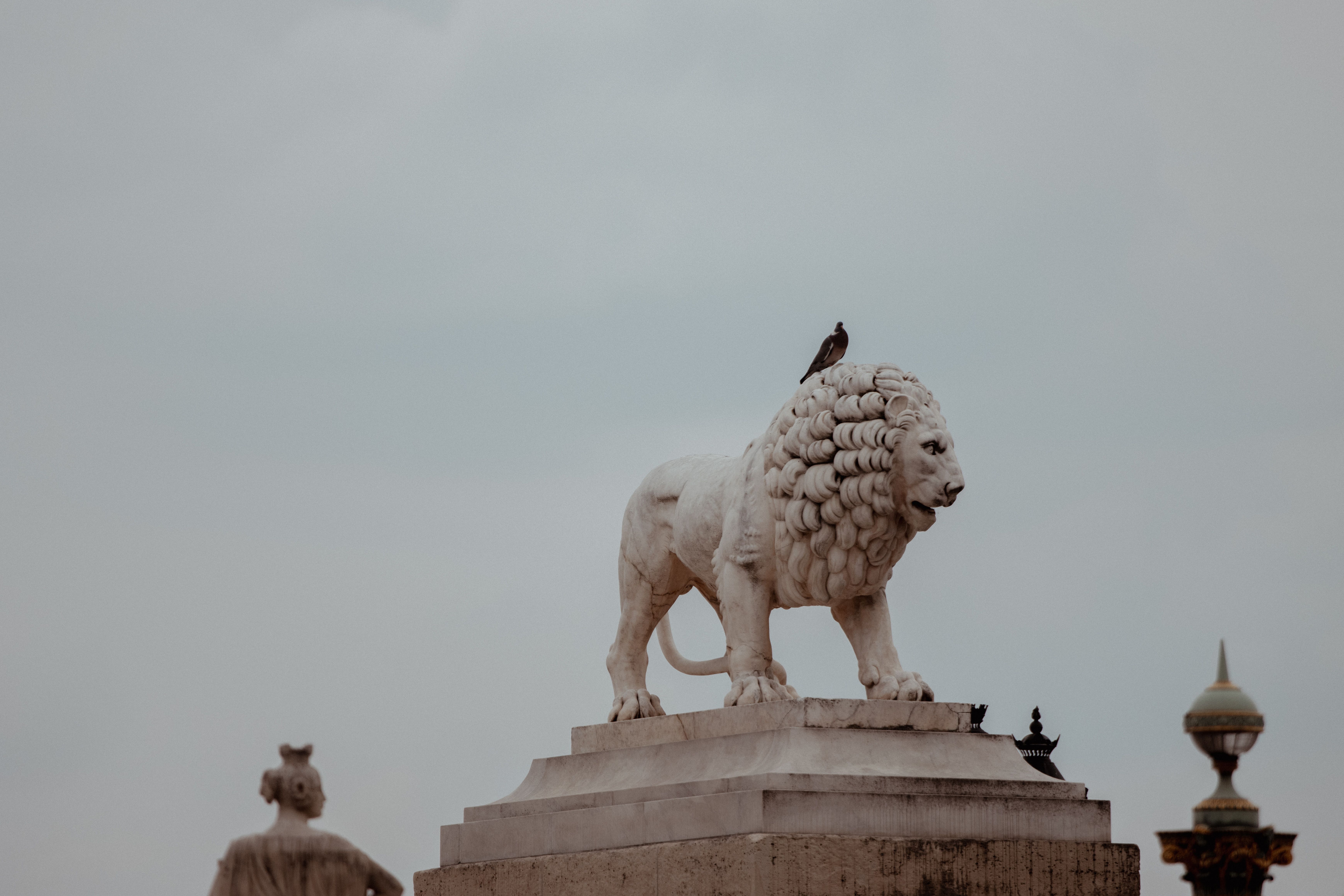 A majestic lion statue with a bird perched on top in Paris, showcasing classic Parisian architecture. — Notre équipe locale Mister Concierge en intervention à Paris 14e