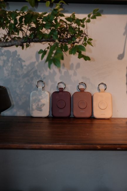 Stylish portable power banks in neutral tones set on a wooden shelf with greenery.