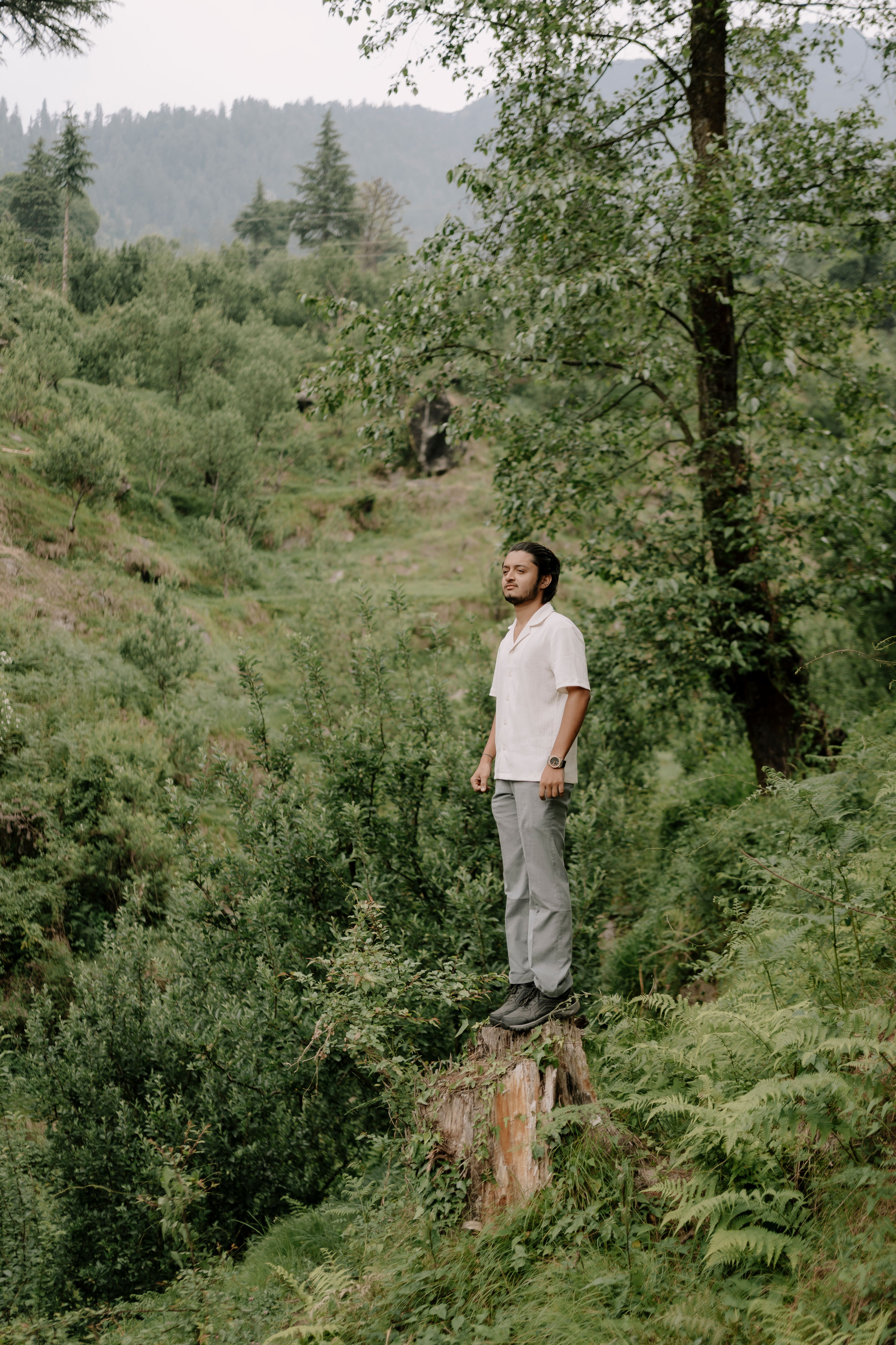 A man stands on a tree stump in a lush green Indian forest, surrounded by trees and hills.