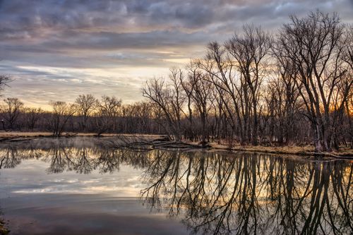 Free Tranquil winter landscape with bare trees reflected in a calm river at sunset in Wabasha, Minnesota, USA. Stock Photo