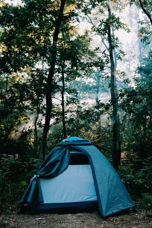 Free A peaceful scene of a camping tent nestled in a lush forest in Şile, İstanbul. Stock Photo
