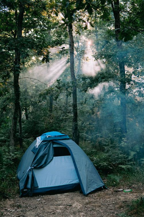 Free A blue tent set in a tranquil Şile forest with morning sunrays filtering through the trees. Stock Photo
