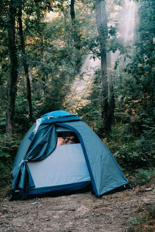 Free Peaceful camping scene in forested Şile, Türkiye, with sun rays filtering through trees. Stock Photo