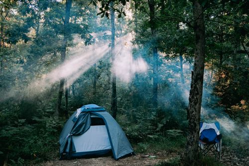 Free A serene camping setup with a tent in a sun-dappled forest in Şile, İstanbul. Stock Photo