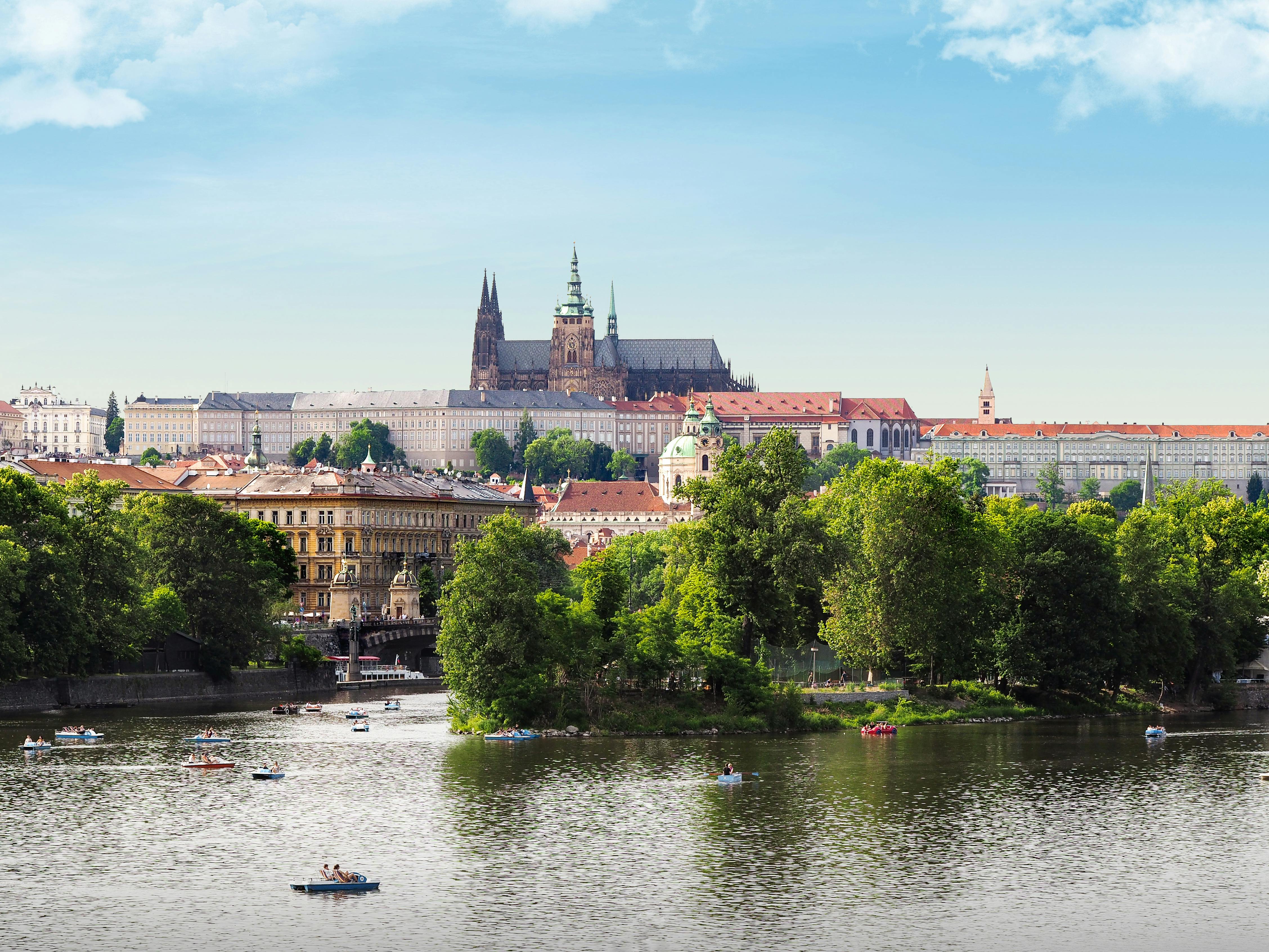 The Diagnosis: A Turning Point