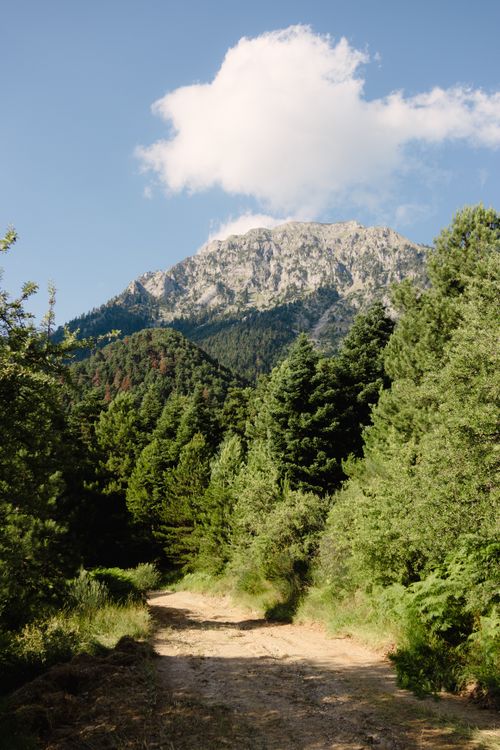 Free Sunlit mountain trail with lush greenery leading to a majestic peak under a blue sky. Stock Photo