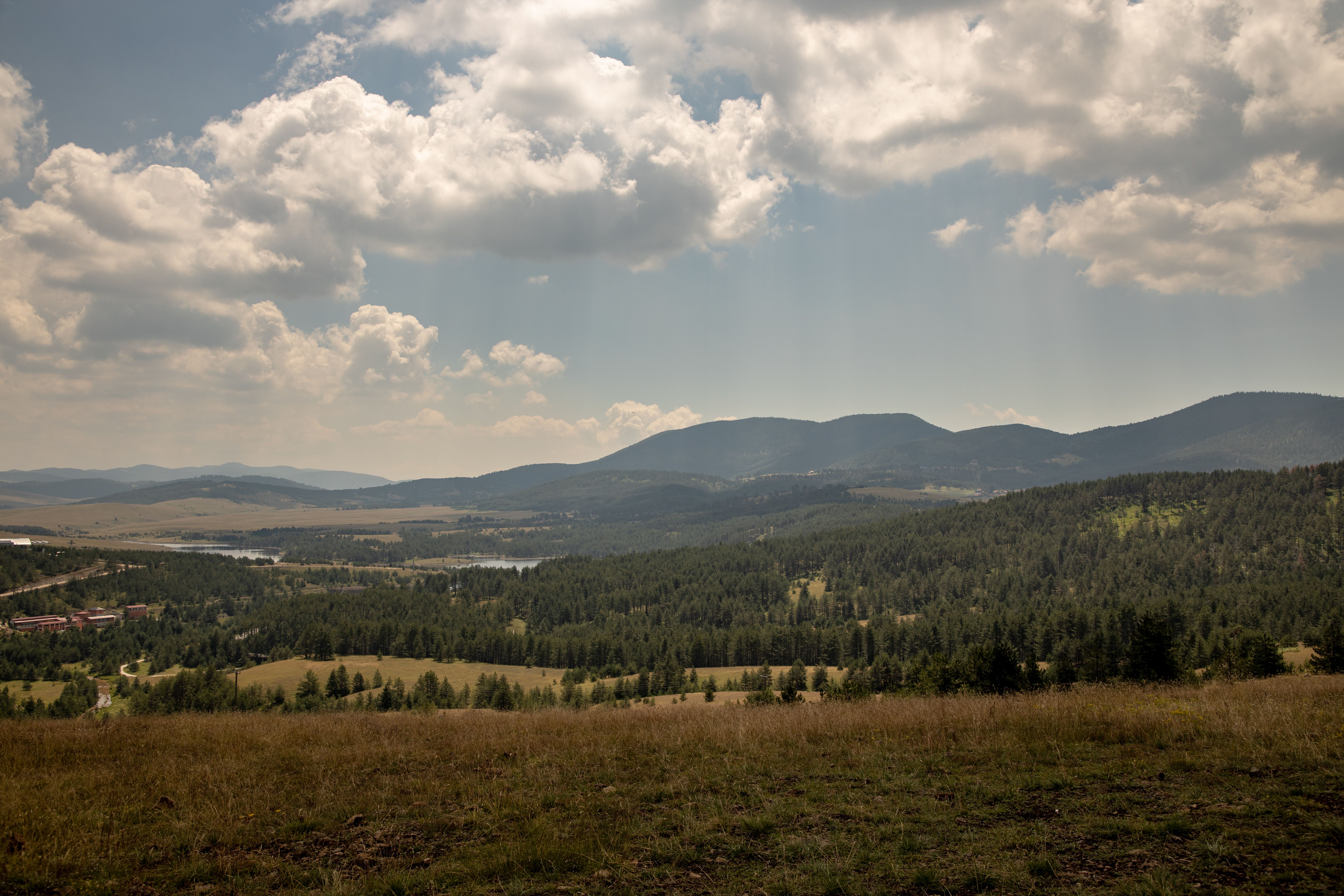 Stoki narciarskie Zlatibor