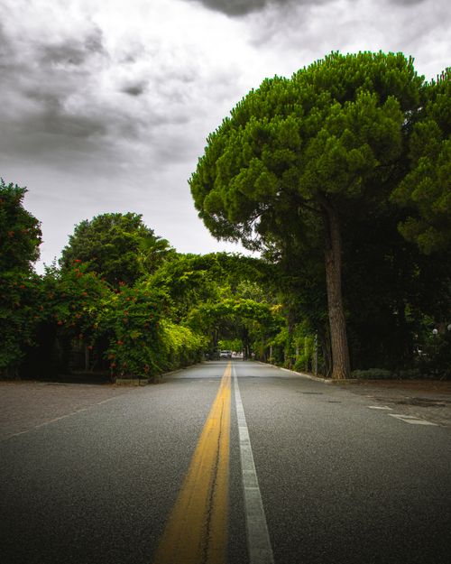 Free A peaceful road surrounded by dense greenery under a cloudy sky. Stock Photo