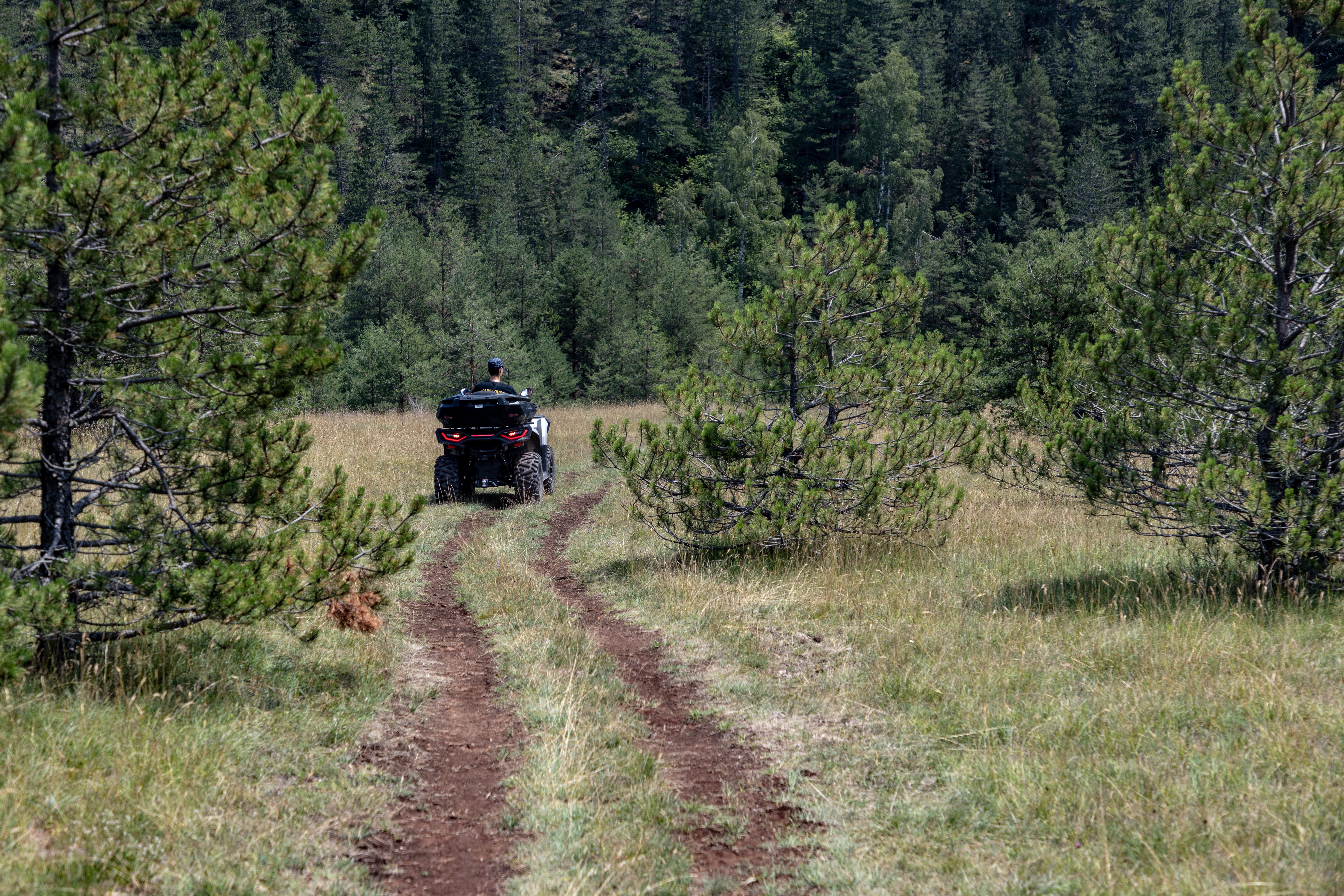 Explore the serene Zlatibor landscape on an ATV, surrounded by lush greenery and a tranquil forest trail.