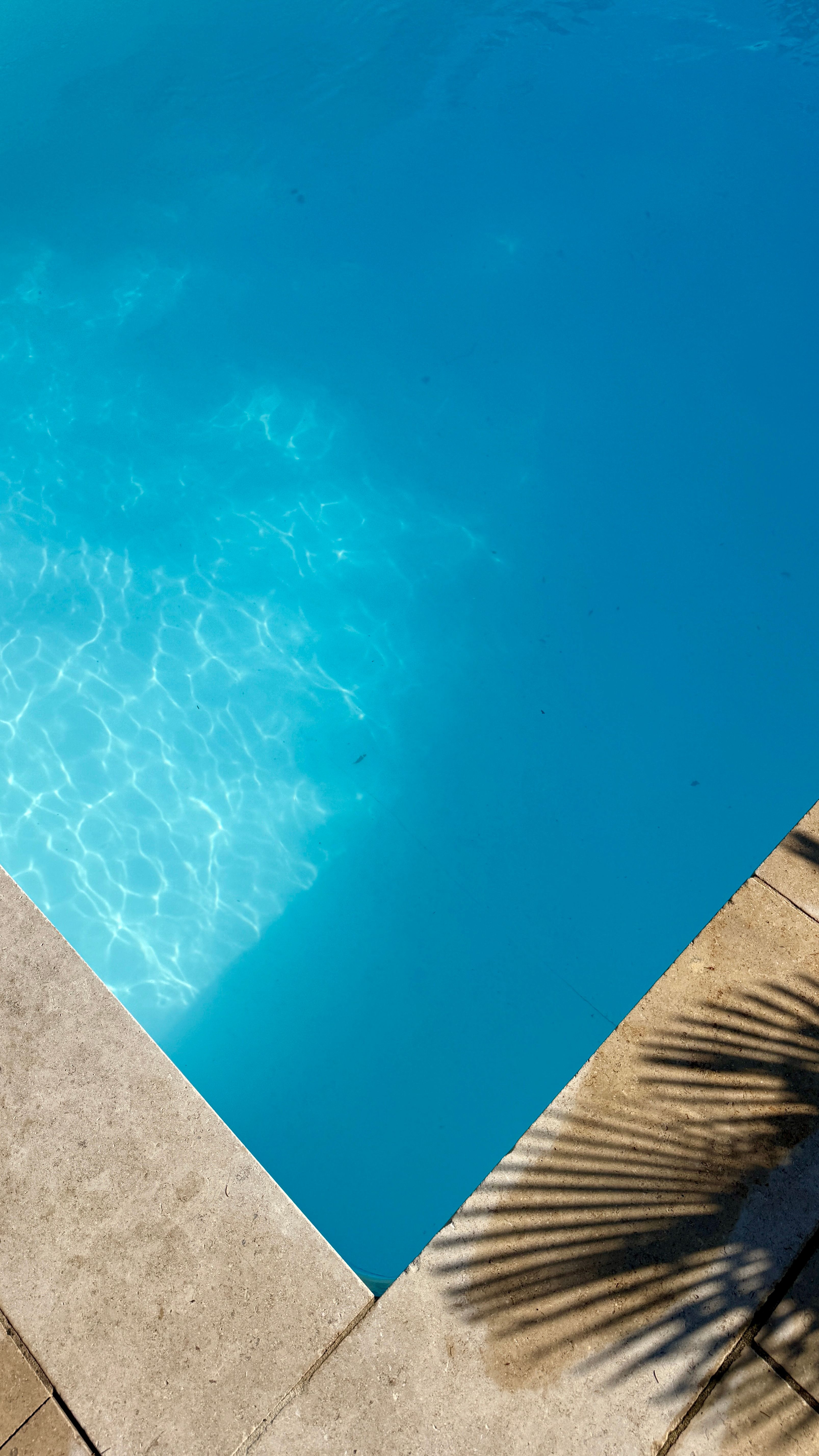 Piscina com sombras de palmeiras projetadas sobre os azulejos