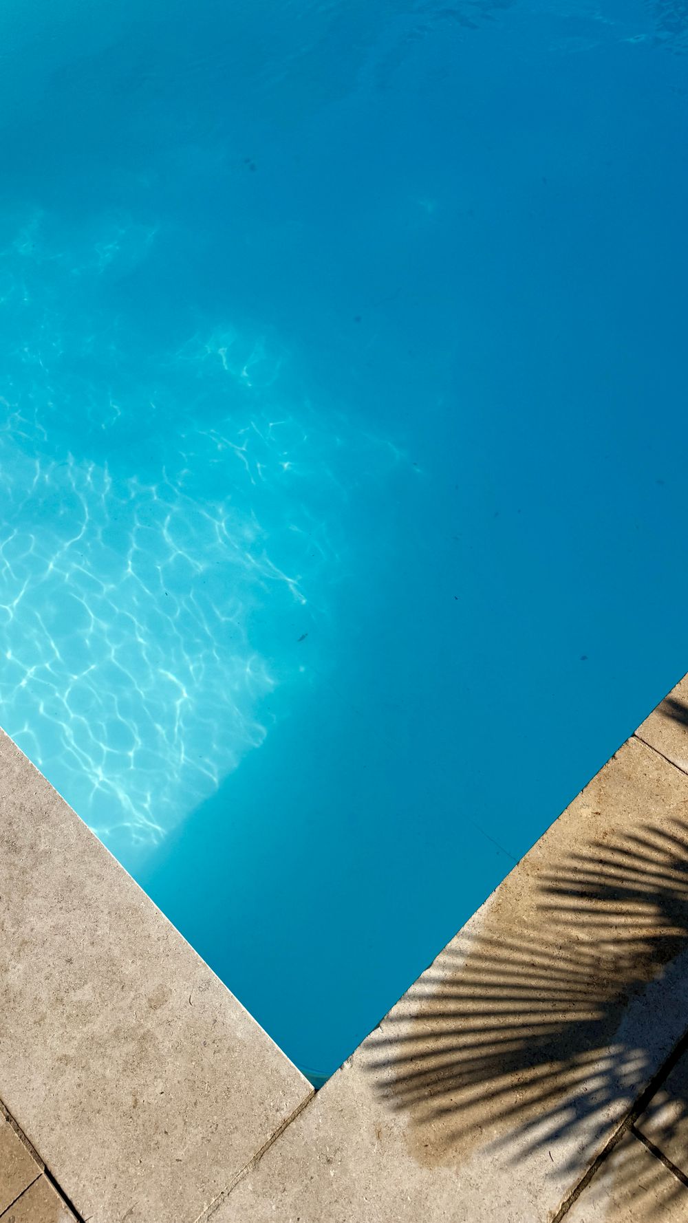 Palm shadows falling across the corner of a bright blue pool and its stone coping