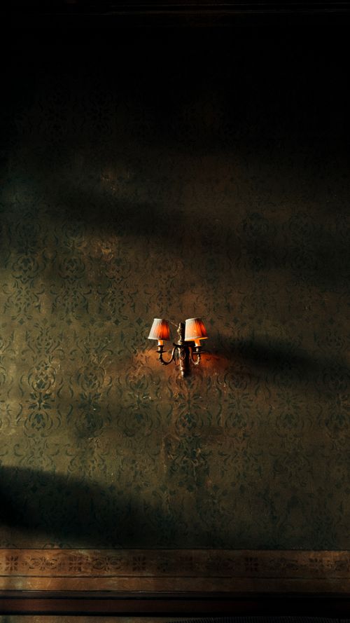 Free An elegant wall lamp projects a warm glow and intricate shadows on a vintage patterned wall. Stock Photo