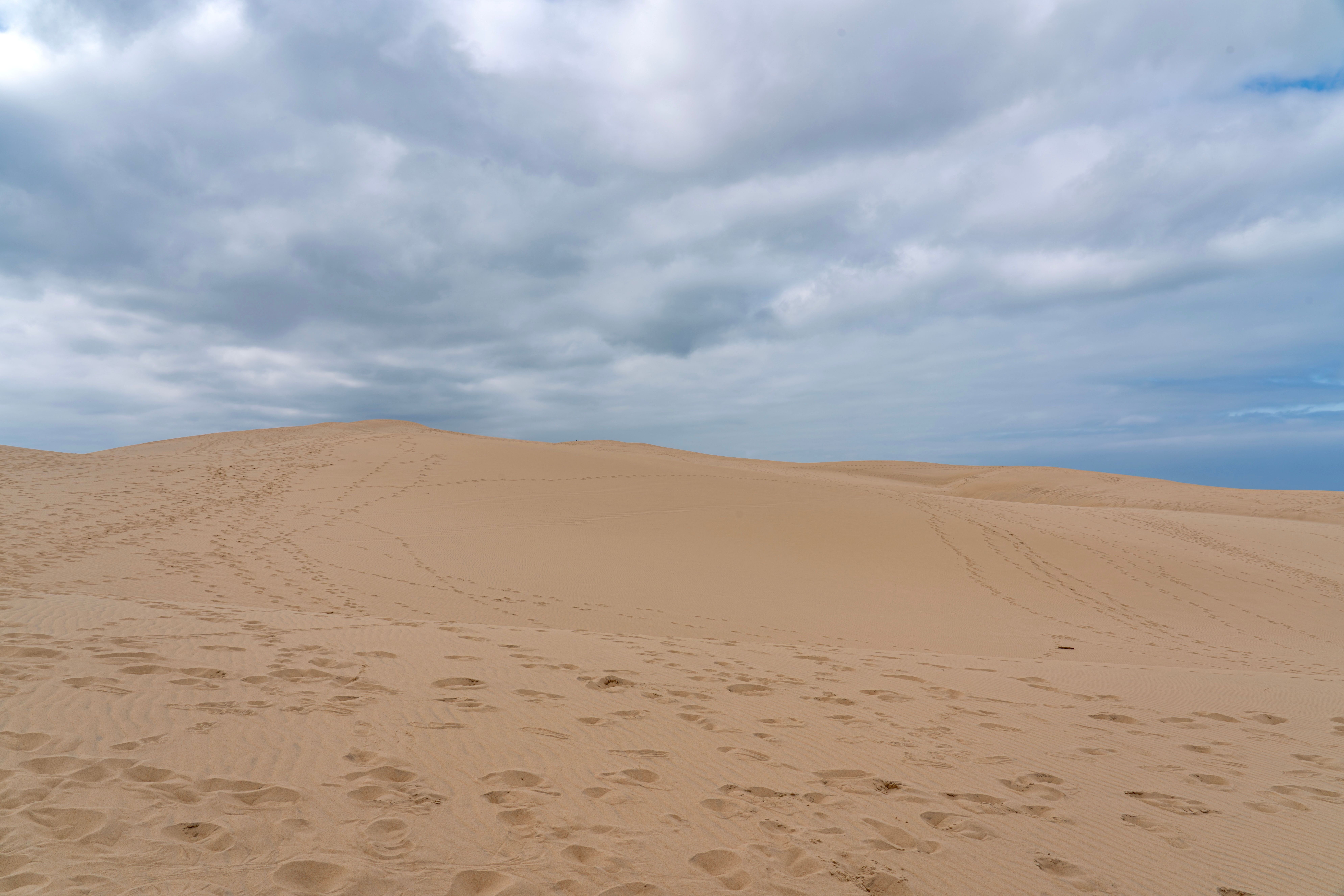 De vastes dunes de sable s'étendent à perte de vue sous un ciel nuageux, offrant un panorama serein sur le désert.