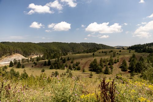 Free Panoramic view of rolling hills and clear skies in Zlatibor, Serbia, showcasing nature's beauty. Stock Photo