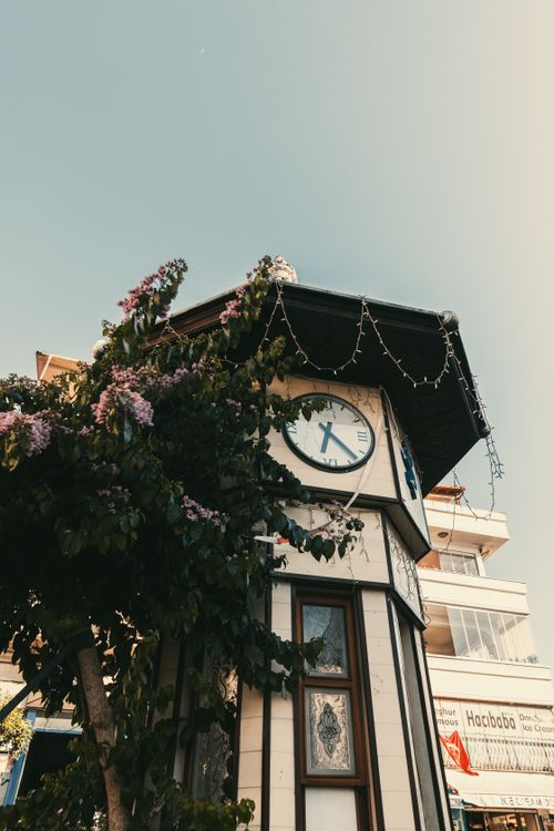 Free A vintage clock tower surrounded by foliage in an urban setting, exuding charm. Stock Photo