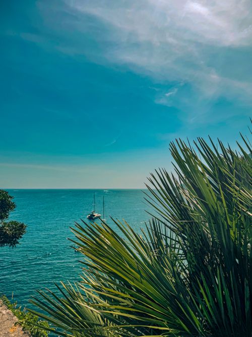 Free Ocean view with palm fronds and a distant yacht under a vibrant summer sky. Stock Photo