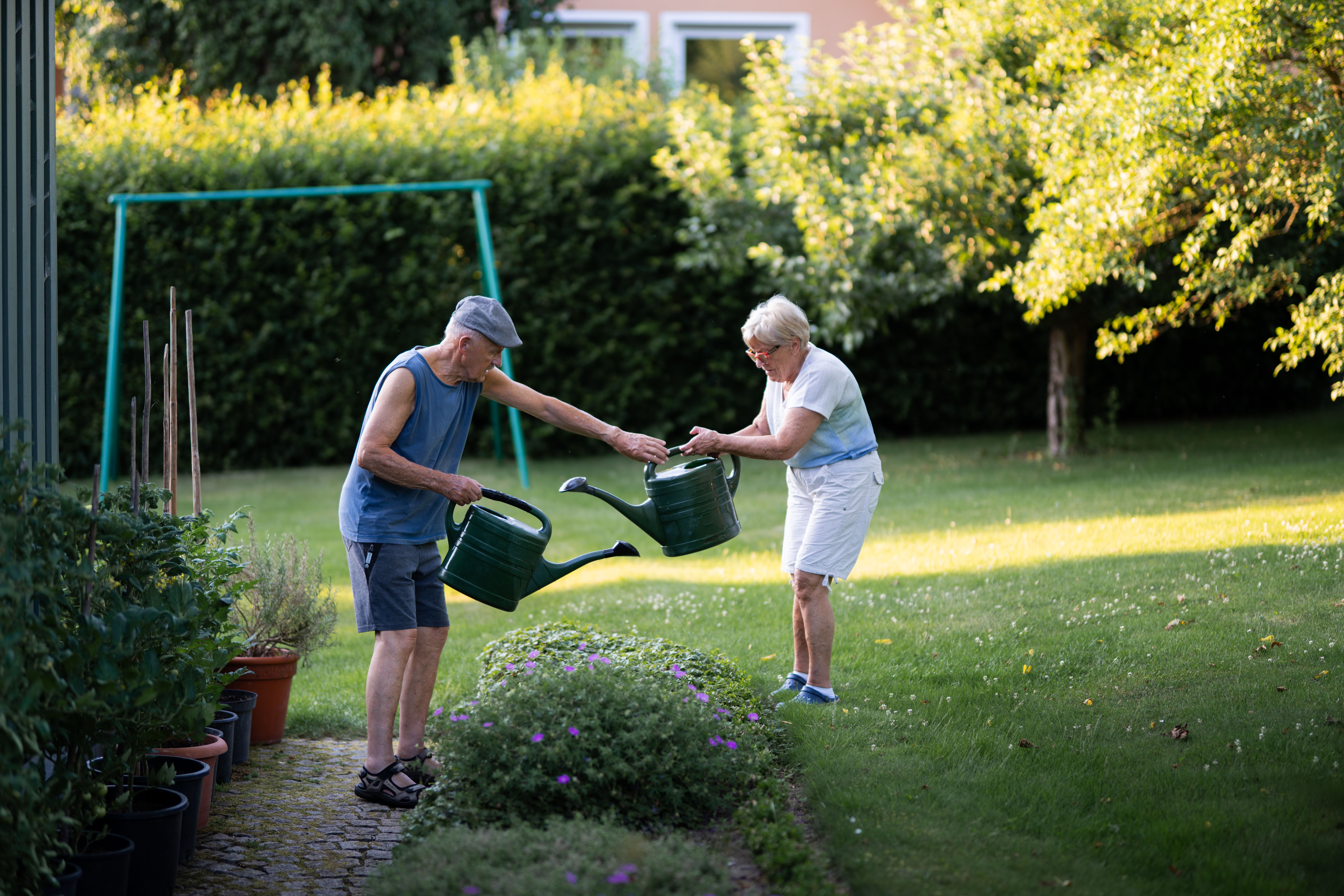 Elderly couple enjoying gardening and watering plants on a sunny day.